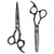 Ichiro Premium Series: Tsuki Black Cutting & Texturizing Scissor Set - Japan Scissors